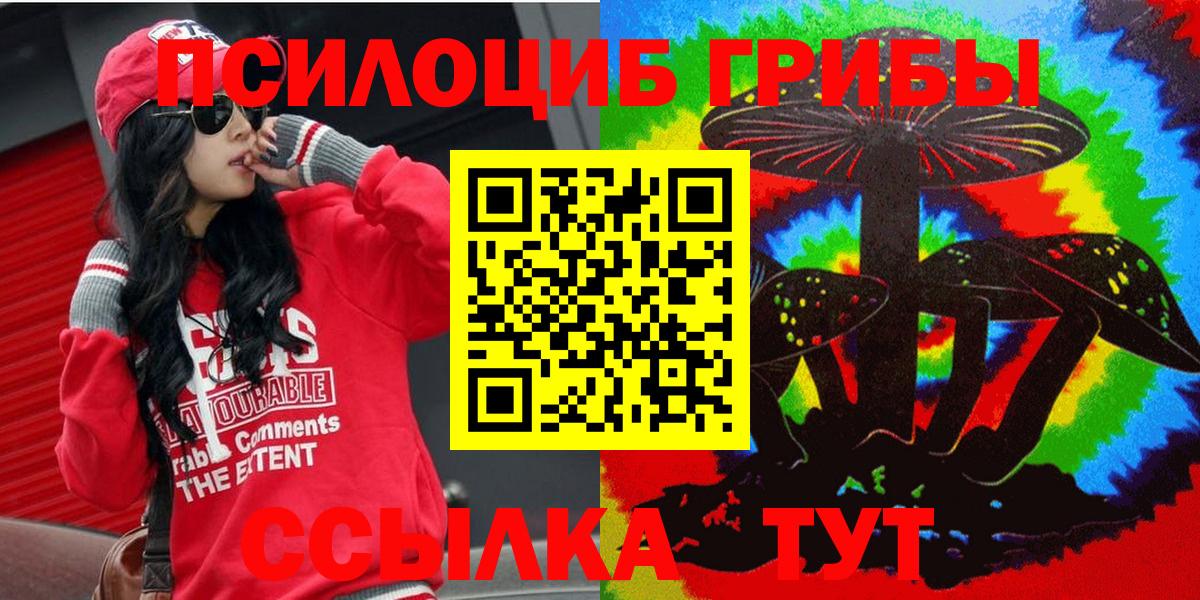 Куйбышев  что такое наркотик  Вход с VPN  Псилоцибиновые грибы Cubensis 